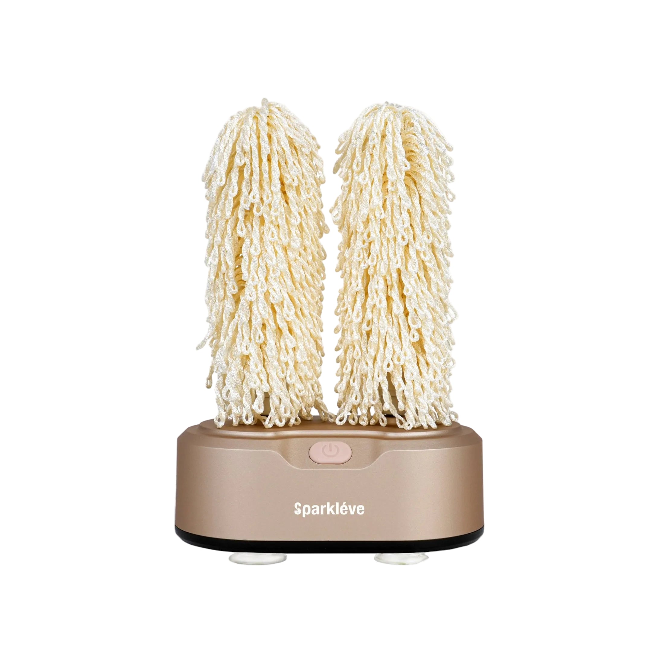 Premium Paint Champagne